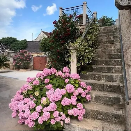 Ferienhaus Rosa, 46a, Brac