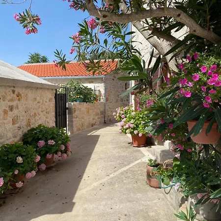 Rosa, 46a, Brac Dracevica